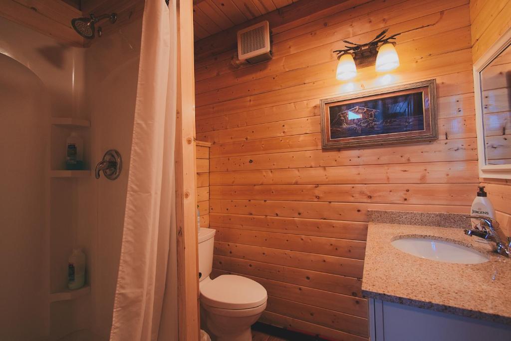 Denali Wild Stay - Bear Cabin with Hot Tub and Free Wifi, Private, sleep 6